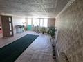 Отдельный дом · 11 комнат · 240 м² · 6 сот., п. Шиен, Боранбаева 8а за 42 млн ₸ в Узынагаш — фото 2