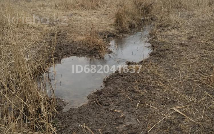 Жер телімі · 100 сотық, Байсерке, бағасы: 12 млн 〒 — фото 2