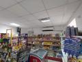 Магазины и бутики • 50 м² за 25 млн 〒 в Астане, Алматы р-н — фото 3