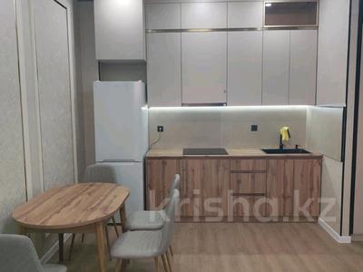 2-бөлмелі пәтер · 45 м² · 15/20 қабат, Жургенова, бағасы: 250 000 ₸ в Астане, Сарайшык р-н