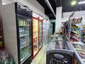 Готовый бизнес · 110 м² за 15 млн ₸ в Иргели