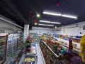 Готовый бизнес · 110 м² за 15 млн ₸ в Иргели — фото 8