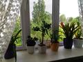 Отдельный дом · 4 комнаты · 80 м² · 20 сот., Абая 76 за 12 млн ₸ в Шымыре — фото 3