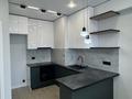 2-бөлмелі пәтер · 47 м² · 8/17 қабат, Ауэзова, бағасы: 39 млн ₸ в Алматы, Алмалинский р-н — фото 4
