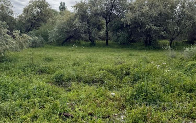 Жер телімі · 5.6 сотық, Коктем, бағасы: 4.5 млн ₸ в Батане — фото 13