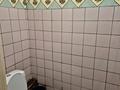 3-бөлмелі пәтер · 78.7 м² · 5/5 қабат, Толе би 5 — Байгазиева, бағасы: 23 млн ₸ в Каскелене — фото 2