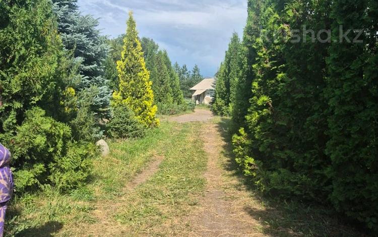 Участок · 24 сотки, Куланаян за 150 млн ₸ в Турген — фото 2