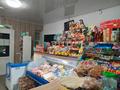 Пивной-продуктовый магазин, 151 м² за 30 млн 〒 в Семее, мкр Красный Кордон — фото 19