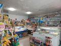 Пивной-продуктовый магазин, 151 м² за 30 млн 〒 в Семее, мкр Красный Кордон — фото 25