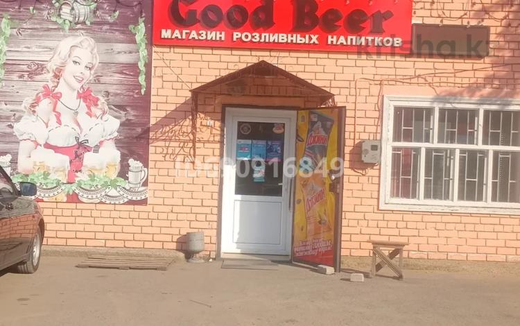 Пивной-продуктовый магазин · 151 м² за 36 млн 〒 в Семее, мкр Красный Кордон — фото 28