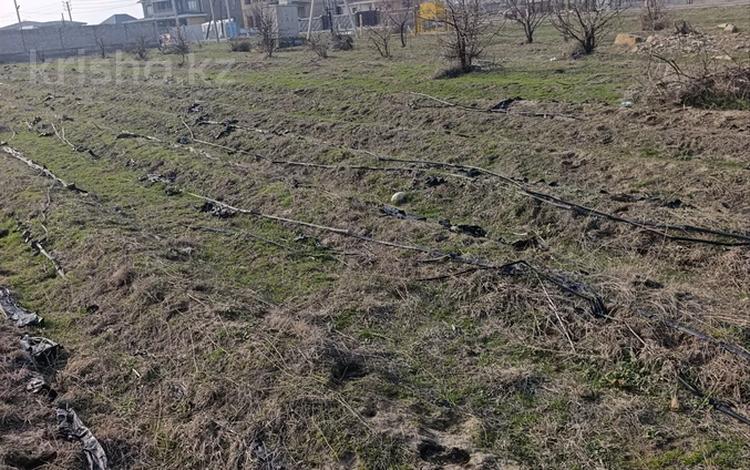 Жер телімі · 8 сотық, Тауке хана, бағасы: 9.5 млн ₸ в Таразе — фото 6