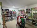 Свободное назначение, офисы, магазины и бутики · 120 м² за 95 млн ₸ в Актобе, мкр. Алтын орда — фото 9