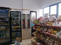 Свободное назначение, магазины и бутики • 42 м² за 30 млн 〒 в Шымкенте, Каратауский р-н — фото 4