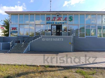Еркін, дүкендер мен бутиктер, қоймалар · 400 м², бағасы: 120 млн ₸ в Аркалыке