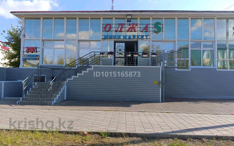 Еркін, дүкендер мен бутиктер, қоймалар · 400 м², бағасы: 120 млн ₸ в Аркалыке — фото 2