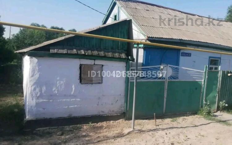 Отдельный дом · 3 комнаты · 50 м² · 15 сот., Станция Коксу 56 за 12.5 млн 〒 в Балпыке Би — фото 20