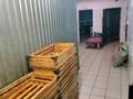 Қоғамдық тамақтану орны · 318 м², бағасы: 45 млн ₸ в Усть-Каменогорске, Ульбинский — фото 13