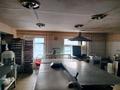 Қоғамдық тамақтану орны · 318 м², бағасы: 45 млн ₸ в Усть-Каменогорске, Ульбинский — фото 18