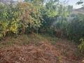 Дача · 3 комнаты · 65 м² · 7.5 сот., С/т Шамалган за 15 млн ₸ в Жандосов — фото 29