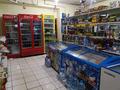 Магазины и бутики • 87 м² за 38 млн 〒 в Шымкенте, Аль-Фарабийский р-н — фото 3