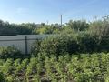 Отдельный дом · 3 комнаты · 35 м² · 5 сот., Ягодная 18 — Клубничная за 2.5 млн ₸ в Кокшетау — фото 12