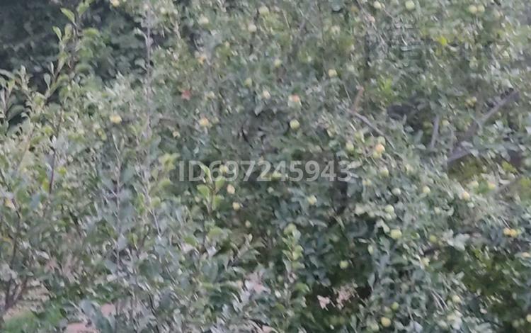 Жеке үй · 6 бөлме · 120 м² · 12 жүзд., Абая 4 — Курорт Сарыагаш, бағасы: 45 млн ₸ — фото 12