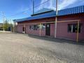Отдельный дом · 5 комнат · 170 м² · 8 сот., Иманова 6 за 73.5 млн ₸ в Косшы — фото 52