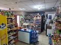 Магазины и бутики • 108.3 м² за 44 млн 〒 в Астане, Сарыарка р-н — фото 3