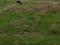 Жер телімі 10 сотық, Участокты земли 220б 220б — Алии молдогуловой, бағасы: 2.6 млн 〒 в Талдыкоргане, село Ынтымак