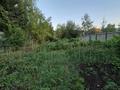 Отдельный дом · 4 комнаты · 150 м² · 10 сот., Визит 5 за 41.9 млн ₸ в Ново-Ульбинка — фото 52