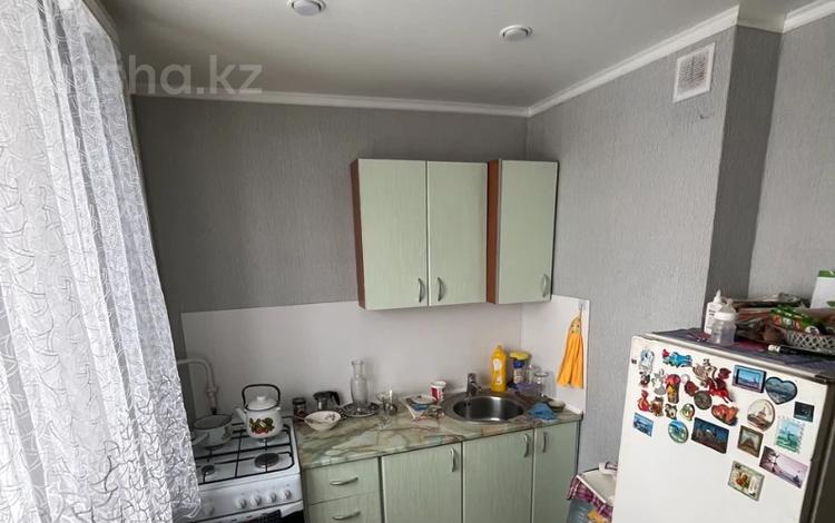 У саши 12 й микрорайон 20 фото