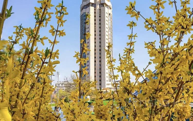 1-комнатная квартира · 38 м² · 3/5 этаж, Зенкова за 320 000 ₸ в Алматы — фото 29