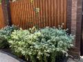 Жеке үй · 3 бөлме · 140 м² · 8 жүзд., Мукана Наурызалиева 21, бағасы: 800 000 ₸ в Атырау, мкр Жилгородок — фото 29