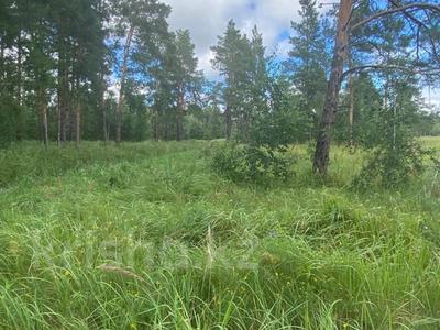 Участок · 10.79 соток, Щербаково за 5.5 млн 〒 в Костанайской обл.