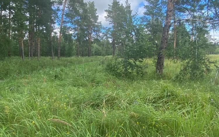 Участок · 10.79 соток, Щербаково за 5.5 млн 〒 в Костанайской обл. — фото 11