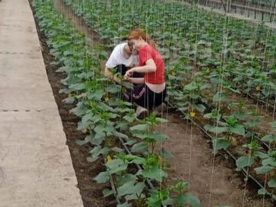 Зауыт · 0.3 га, Карл Маркс 1а, бағасы: 30 млн ₸ в Абай