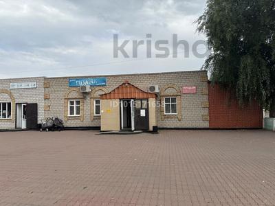 Магазины и бутики · 290 м² за 80 млн ₸ в Павлодарской обл., Актогай