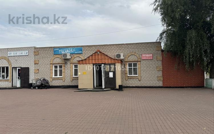 Магазины и бутики · 290 м² за 80 млн ₸ в Павлодарской обл., Актогай — фото 2