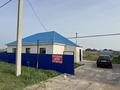 Отдельный дом · 4 комнаты · 120 м² · 9 сот., Міржақып Дулатов 65 — Жаңа Аралтал за 16 млн ₸ в Аксае — фото 12