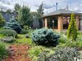 Жеке үй · 9 бөлме · 450 м² · 10 сот., мкр Ерменсай, Жангир хана 71, бағасы: 400 млн ₸ в Алматы, Бостандыкский р-н — фото 5
