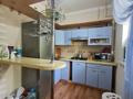 3-комнатная квартира · 71 м² · 1/3 этаж, Достык за 64 млн ₸ в Алматы, Медеуский р-н — фото 6