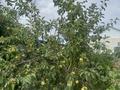 Жеке үй · 3 бөлме · 76 м² · 7 жүзд., Жилгородок ш/а., Азф-5, бағасы: 15 млн ₸ в Актобе, мкр Жилгородок — фото 32