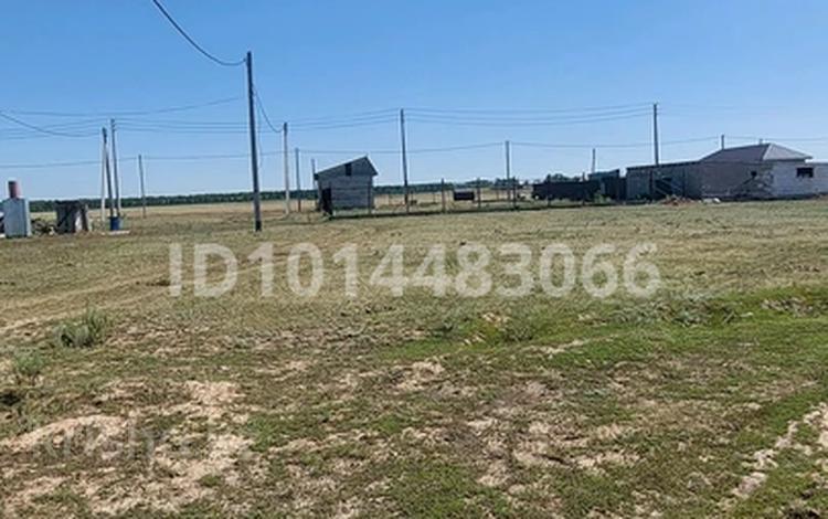 Участок · 10 соток, Кулагер 2/14 — Магазин Диас за 3.5 млн ₸ в Кояндах — фото 2
