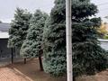 Жеке үй · 5 бөлме · 460 м² · 7 жүзд., мкр Шапагат 217, бағасы: 155 млн ₸ в Шымкенте, Каратауский р-н — фото 13
