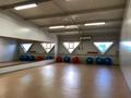 Еркін, фитнес және спорт, ойын-сауық, студиялар · 70 м², бағасы: 140 000 ₸ в Уральске — фото 33