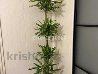 2-бөлмелі пәтер · 53.7 м² · 4/9 қабат, Бурундайская 91, бағасы: 37.5 млн ₸ в Алматы, Жетысуский р-н