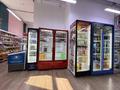 Бизнес продуктовый · 180 м² за 16.5 млн ₸ в Астане, Нура р-н — фото 4