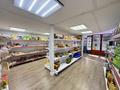Бизнес продуктовый · 180 м² за 16.5 млн ₸ в Астане, Нура р-н — фото 5