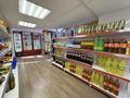 Бизнес продуктовый · 180 м² за 16.5 млн ₸ в Астане, Нура р-н — фото 7