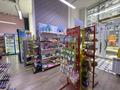 Бизнес продуктовый · 180 м² за 16.5 млн ₸ в Астане, Нура р-н — фото 8